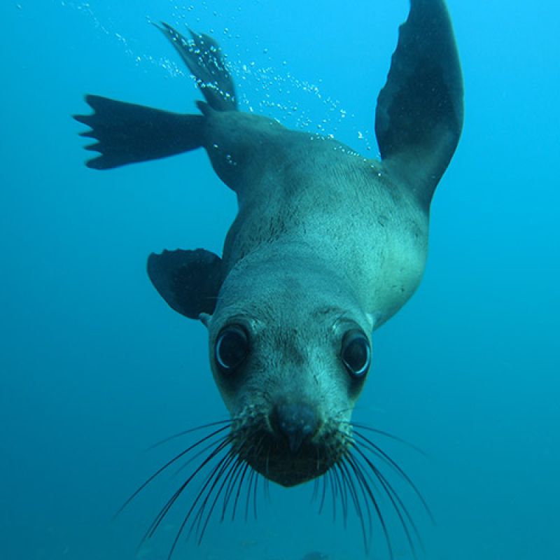 Marine Park